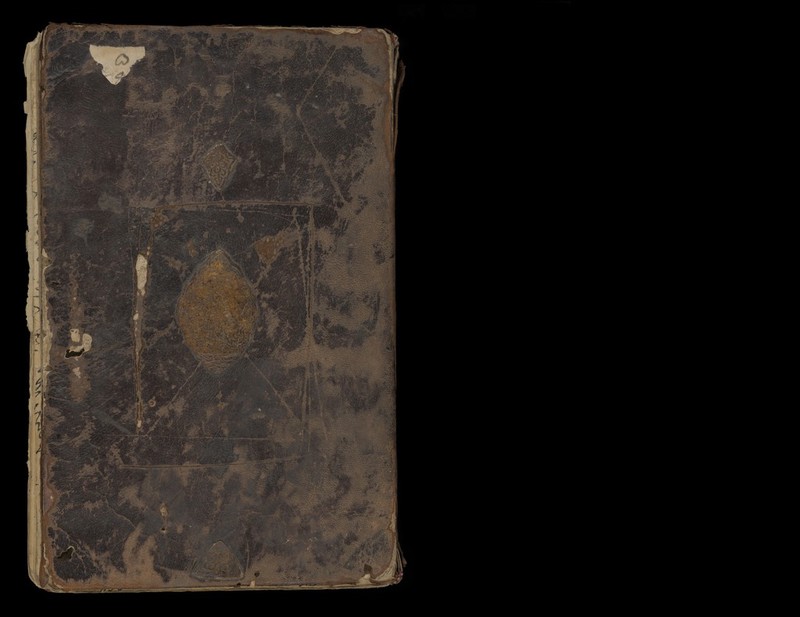 No text description is available for this image