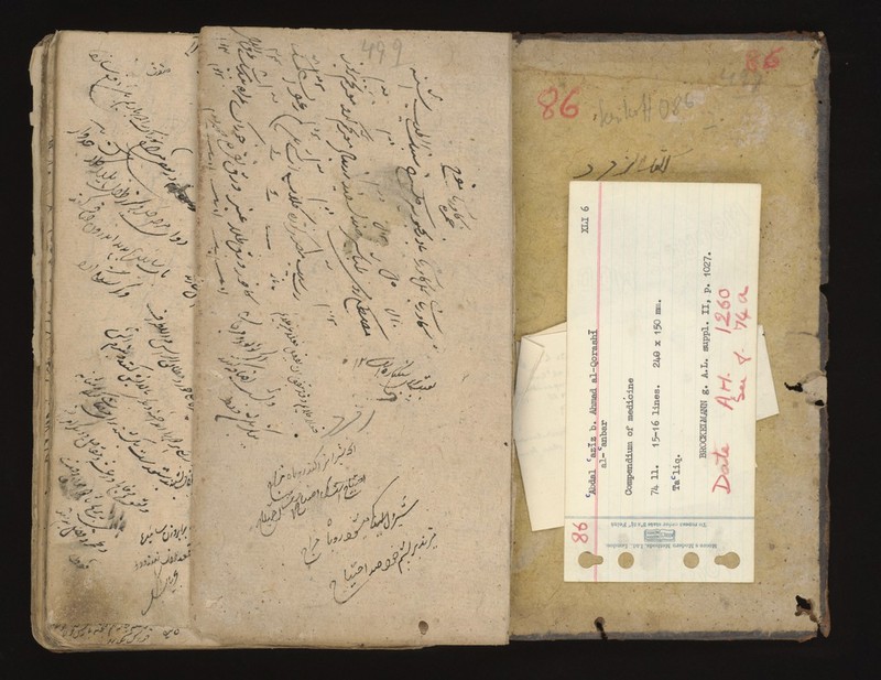 No text description is available for this image