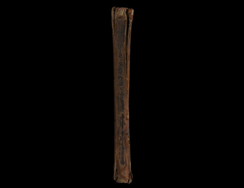 No text description is available for this image