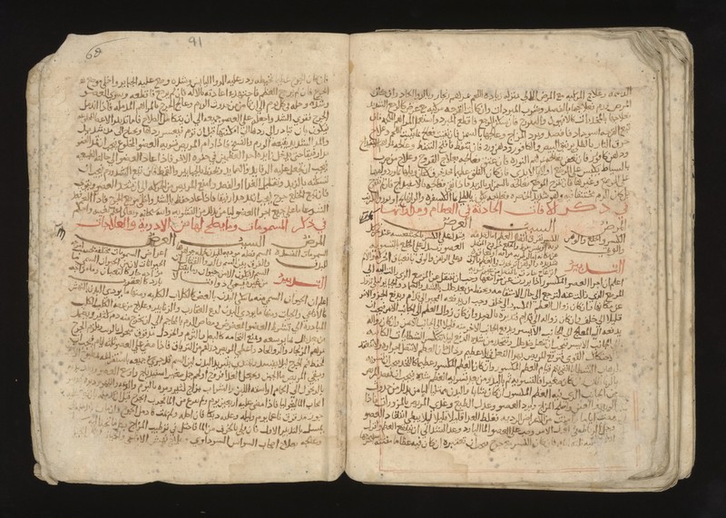 No text description is available for this image