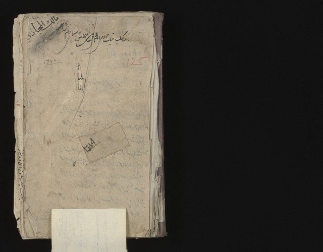 digitised image 2