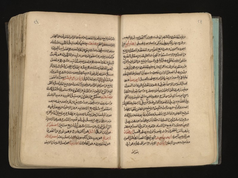 No text description is available for this image