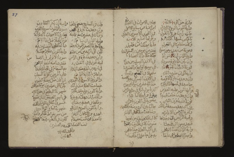 No text description is available for this image