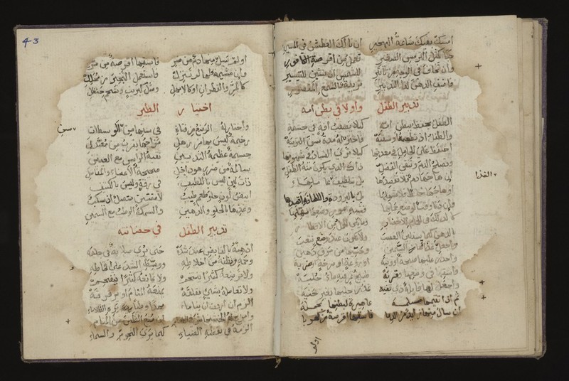 No text description is available for this image