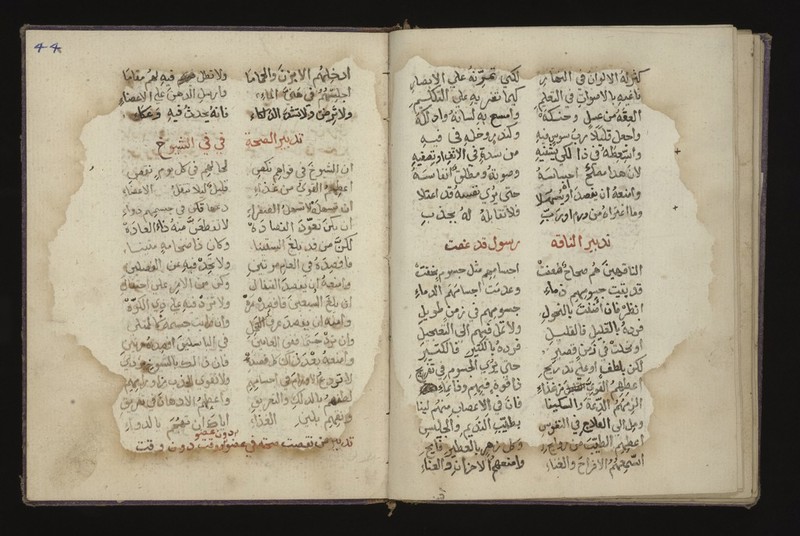 No text description is available for this image