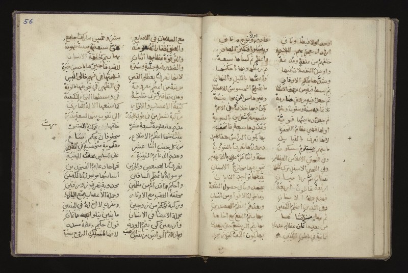 No text description is available for this image