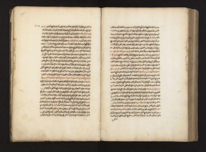 No text description is available for this image