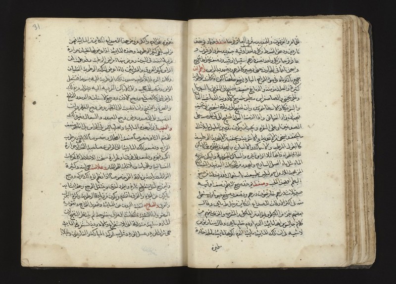 No text description is available for this image