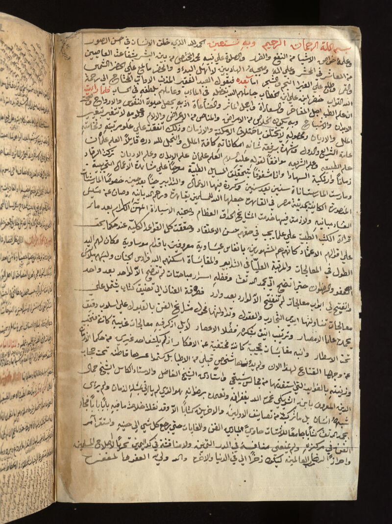 No text description is available for this image