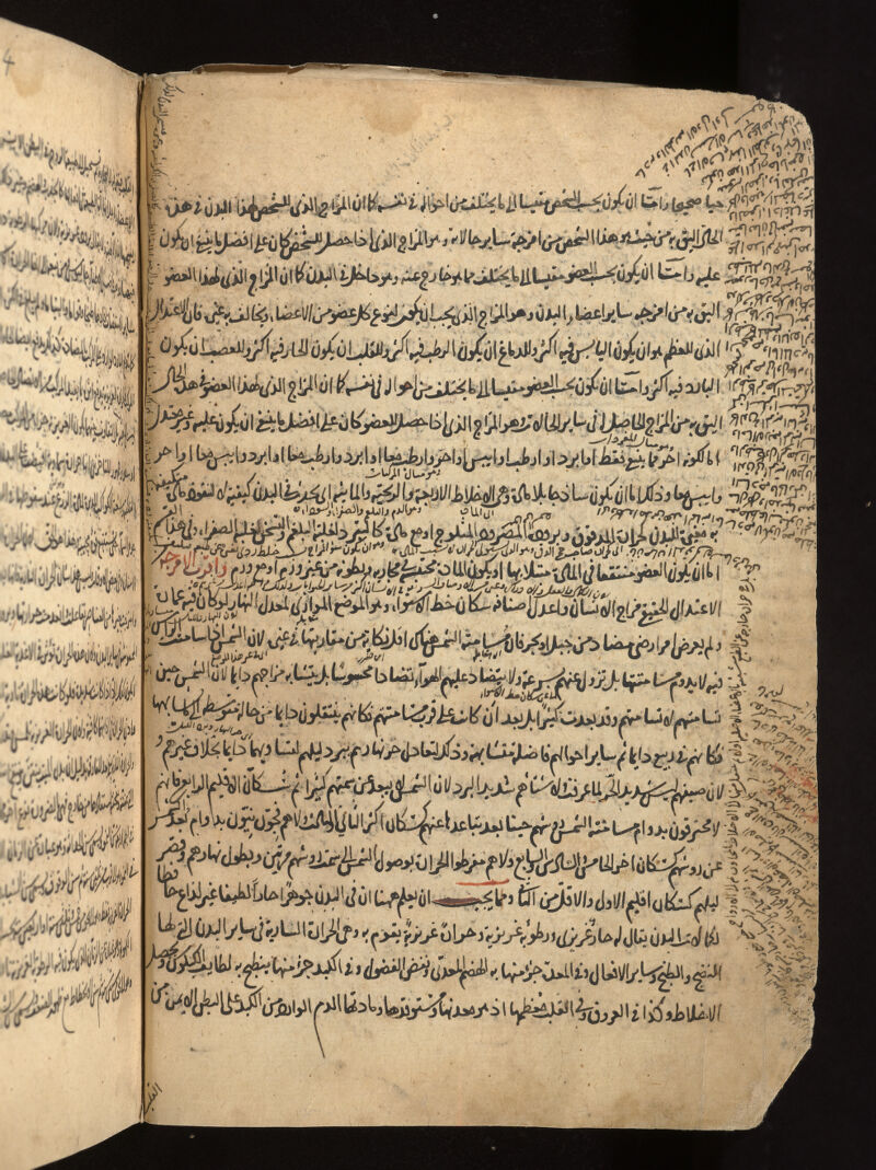 No text description is available for this image