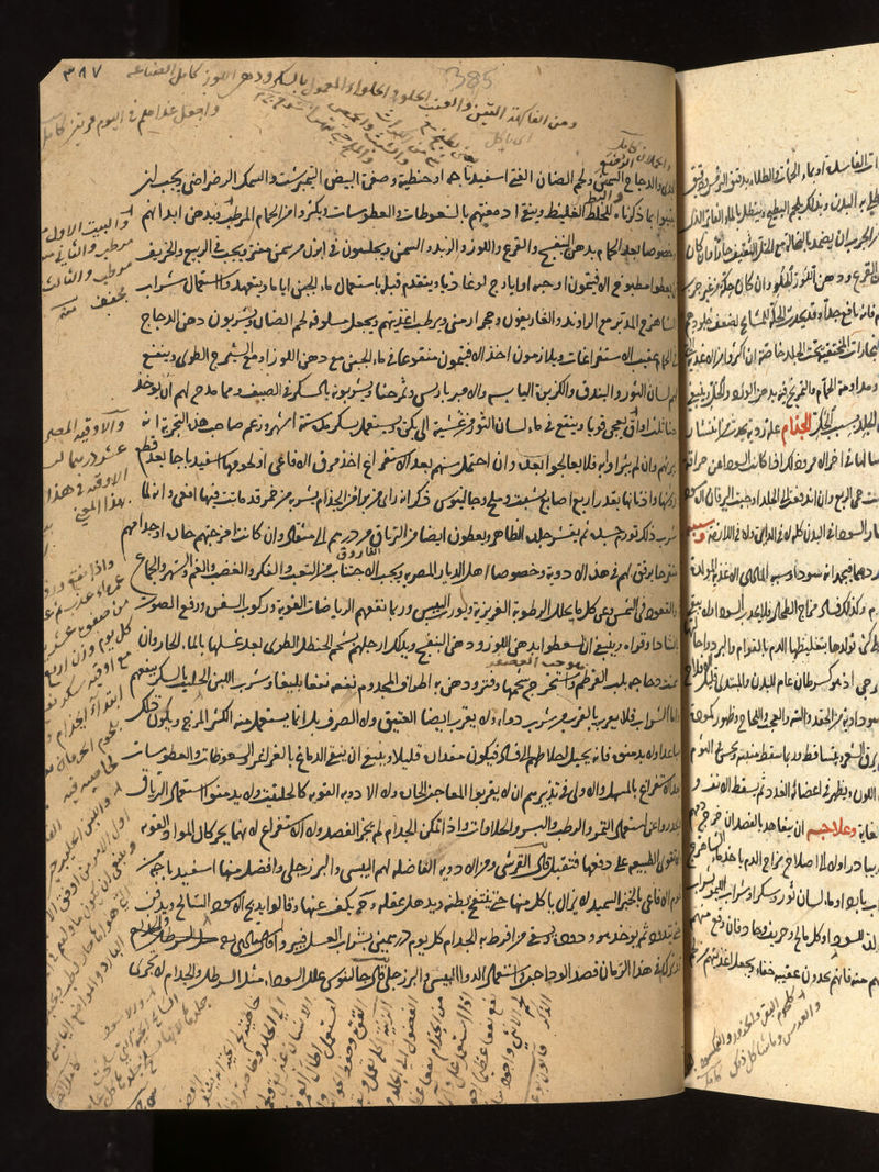 No text description is available for this image