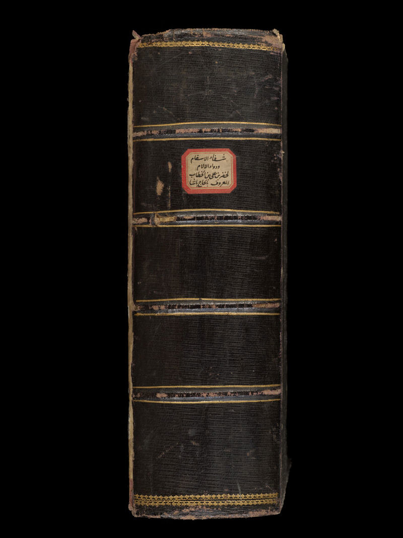 No text description is available for this image