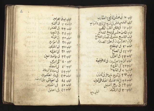 digitised image 2