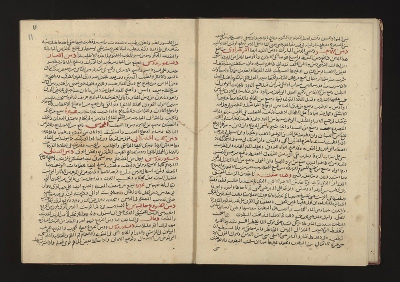 No text description is available for this image