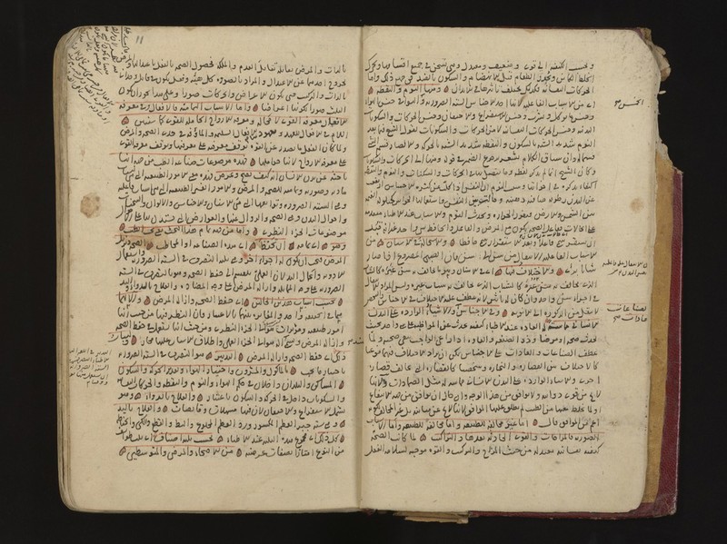 No text description is available for this image