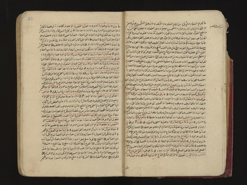 No text description is available for this image