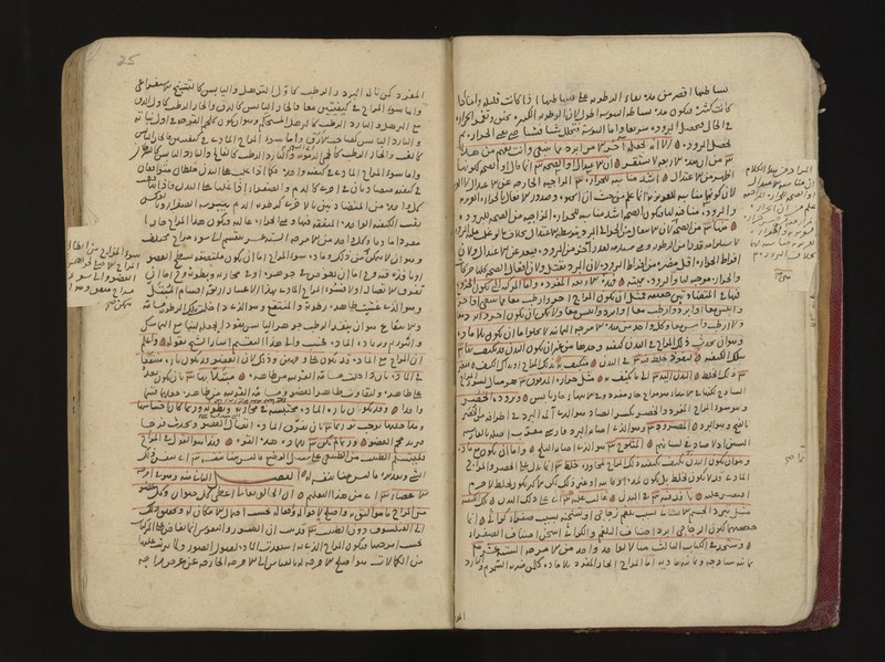 No text description is available for this image