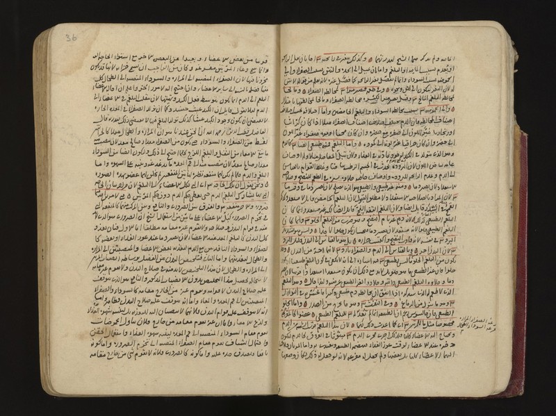 No text description is available for this image