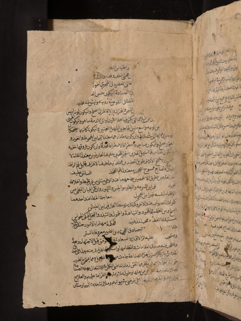 No text description is available for this image