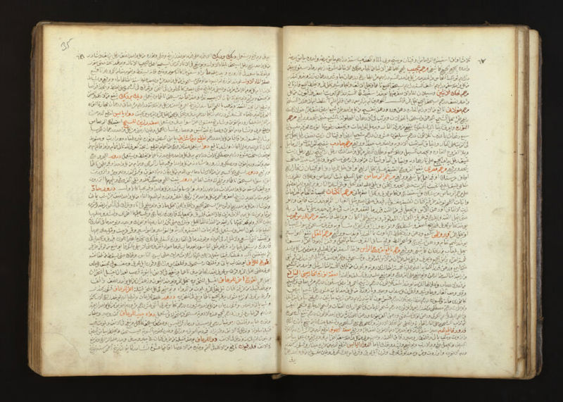 No text description is available for this image