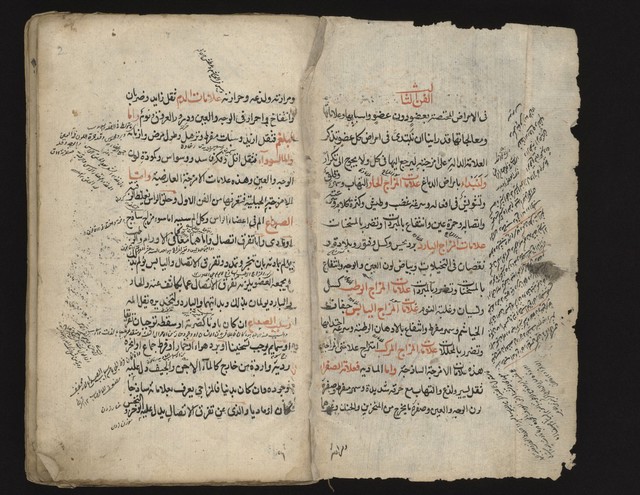 digitised image 2