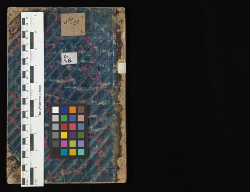 No text description is available for this image