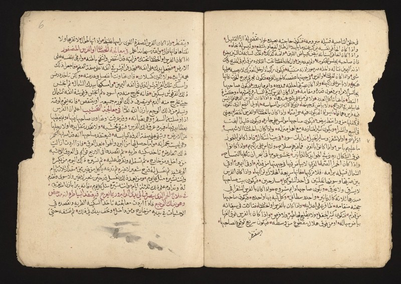 No text description is available for this image