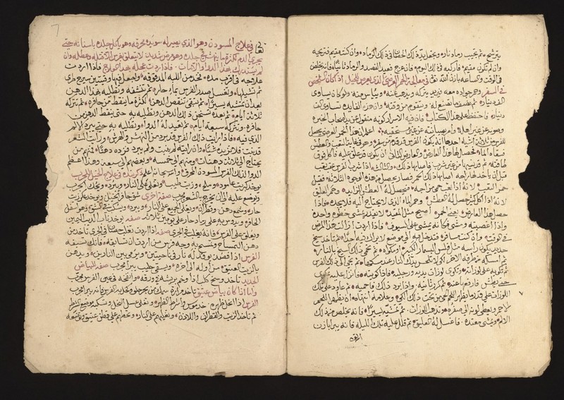 No text description is available for this image