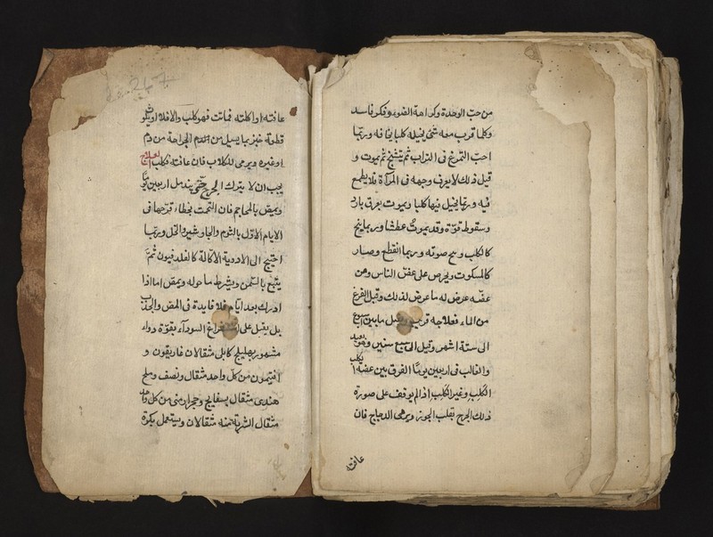 No text description is available for this image