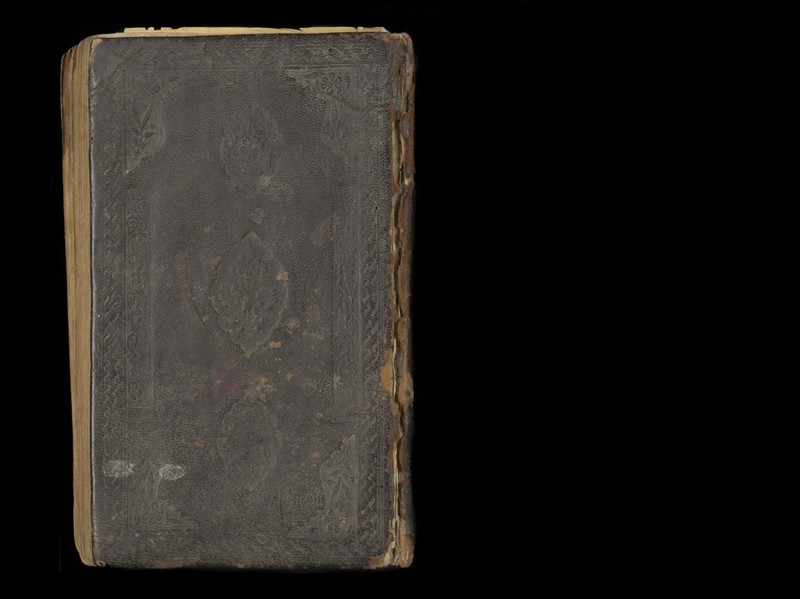 No text description is available for this image