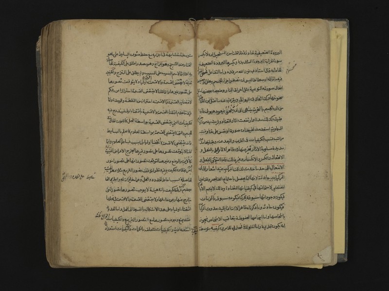 No text description is available for this image