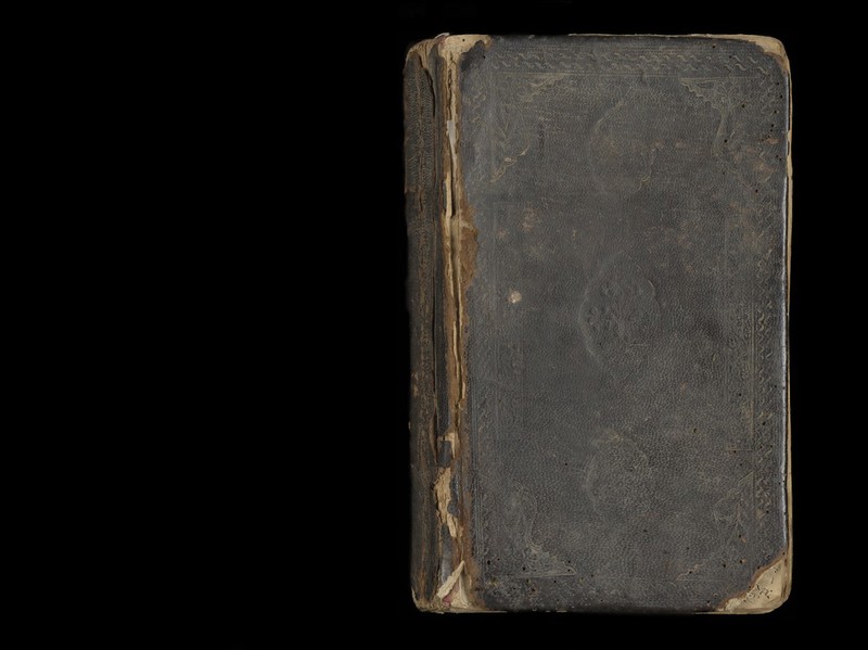 No text description is available for this image