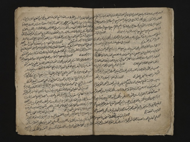 No text description is available for this image