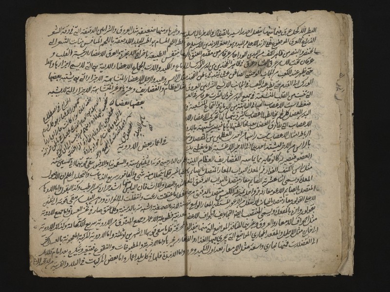 No text description is available for this image