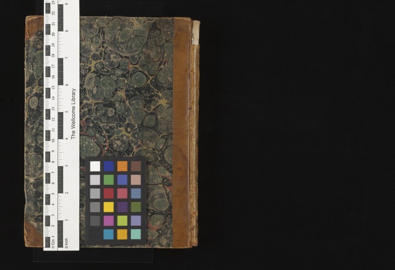 No text description is available for this image