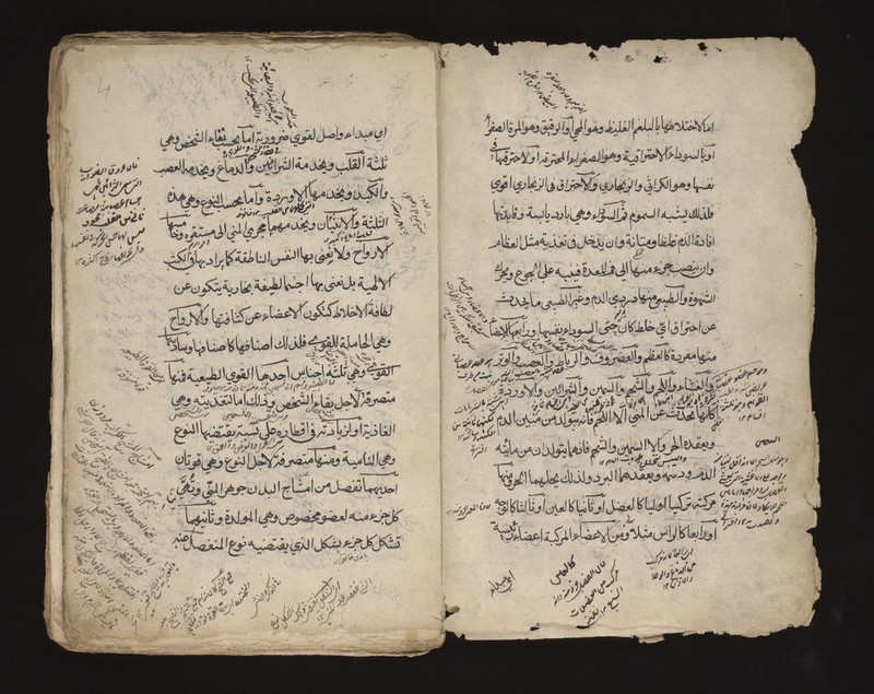 No text description is available for this image