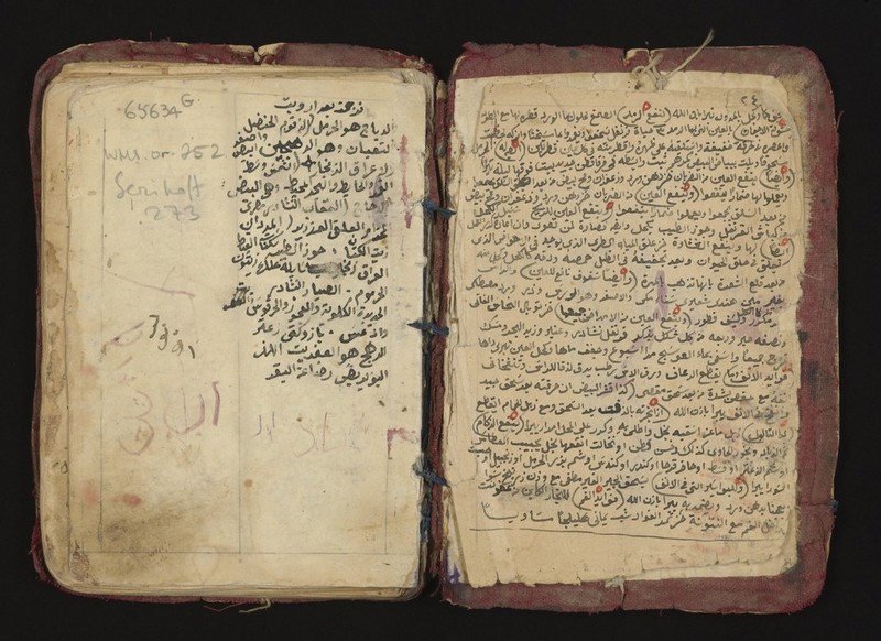 No text description is available for this image