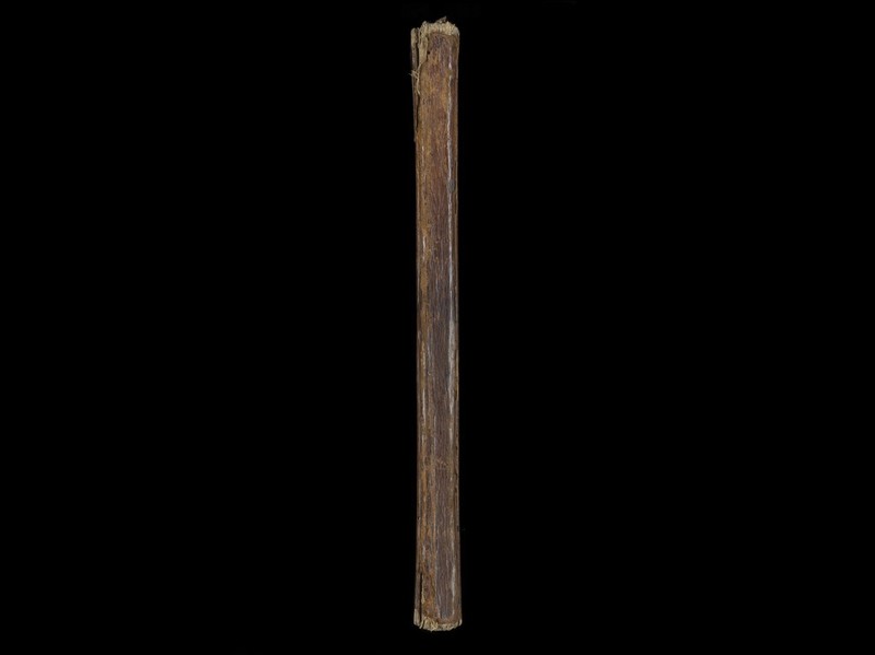 No text description is available for this image