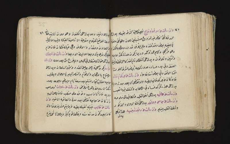 No text description is available for this image