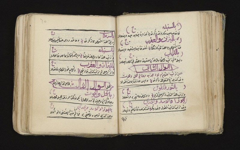 No text description is available for this image