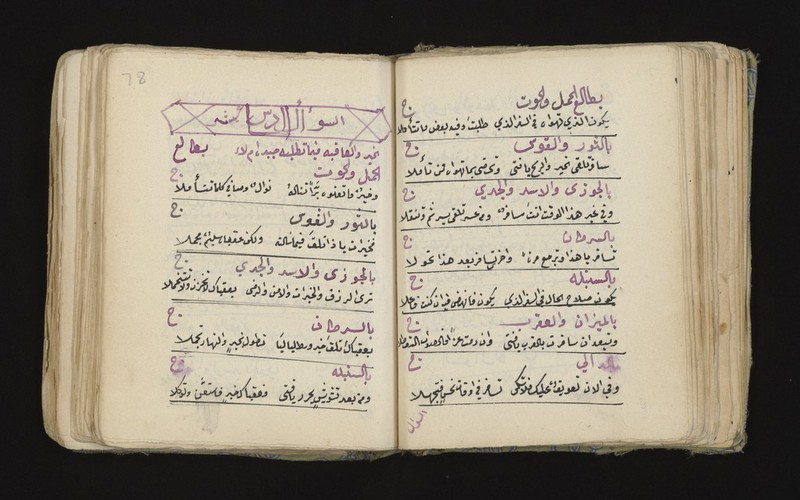 No text description is available for this image