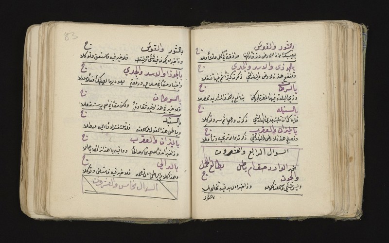 No text description is available for this image