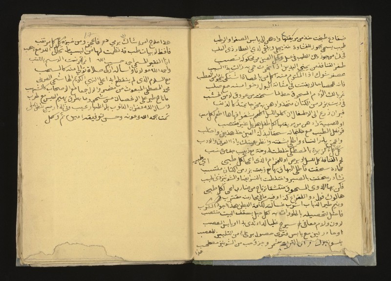 No text description is available for this image