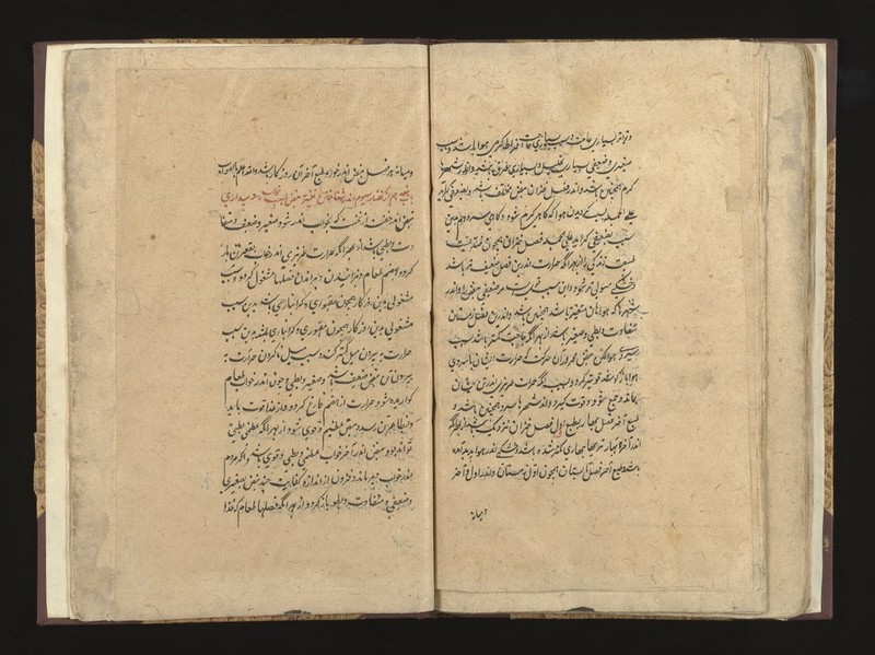 No text description is available for this image