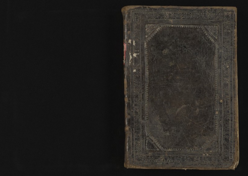 No text description is available for this image