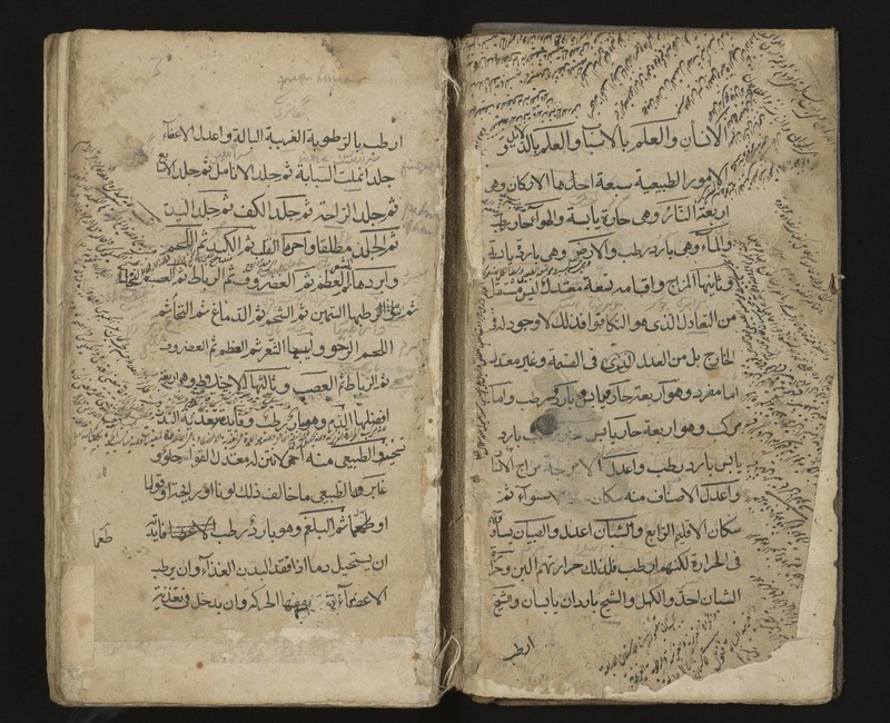 No text description is available for this image