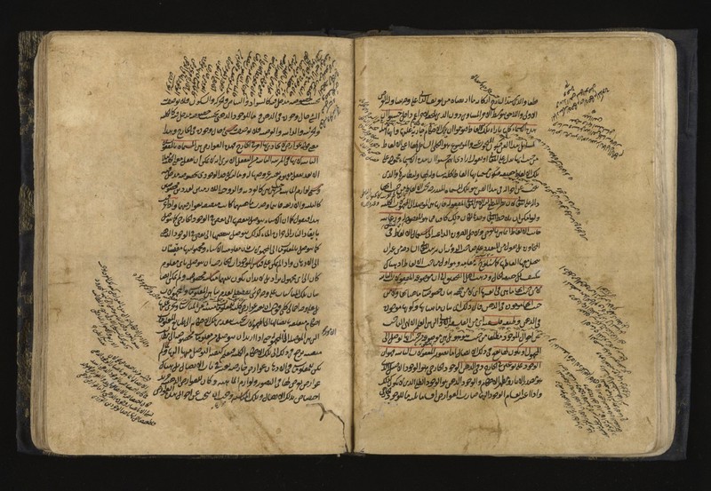 No text description is available for this image