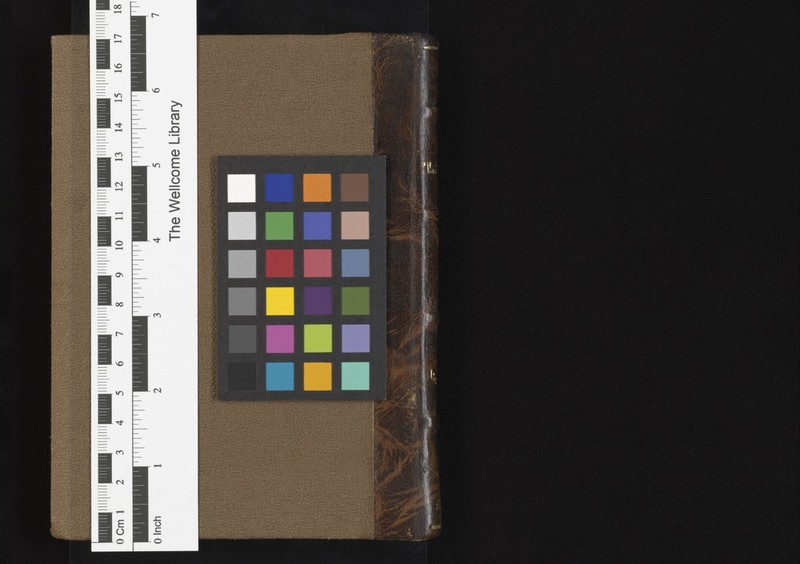 No text description is available for this image