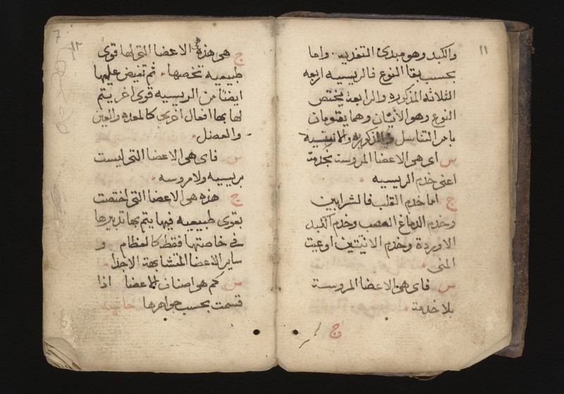 No text description is available for this image