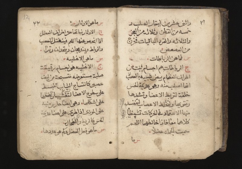 No text description is available for this image